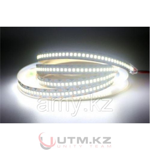 Led лента SMD 2835 (холодный) 240 d/m 12V