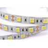 LED лента SMD5050 (синий)12V